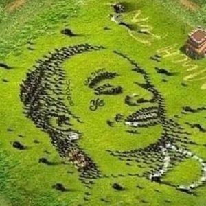 Meet your Posher, Matthew